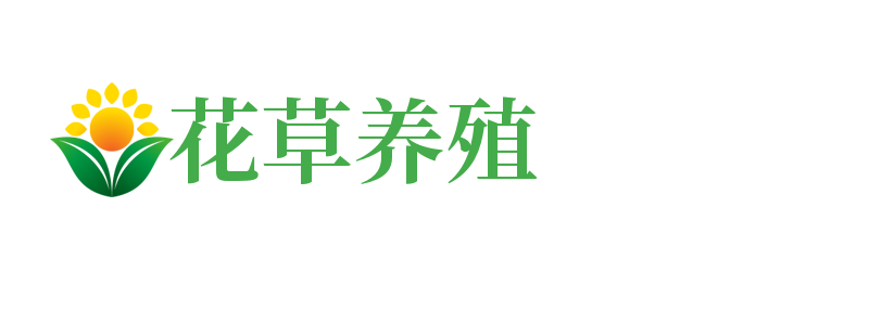 山东省滨州市沾化区冒威答金属包装股份公司